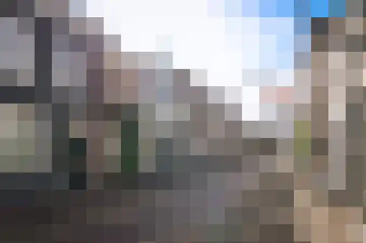 Boschstraat 69 Zaltbommel thumbnail 38