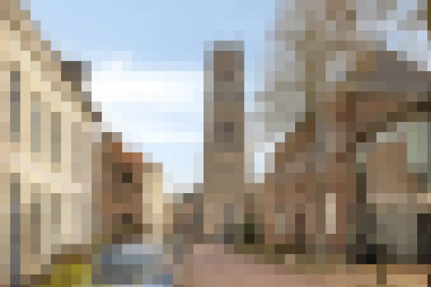 Boschstraat 87 Zaltbommel thumbnail 36