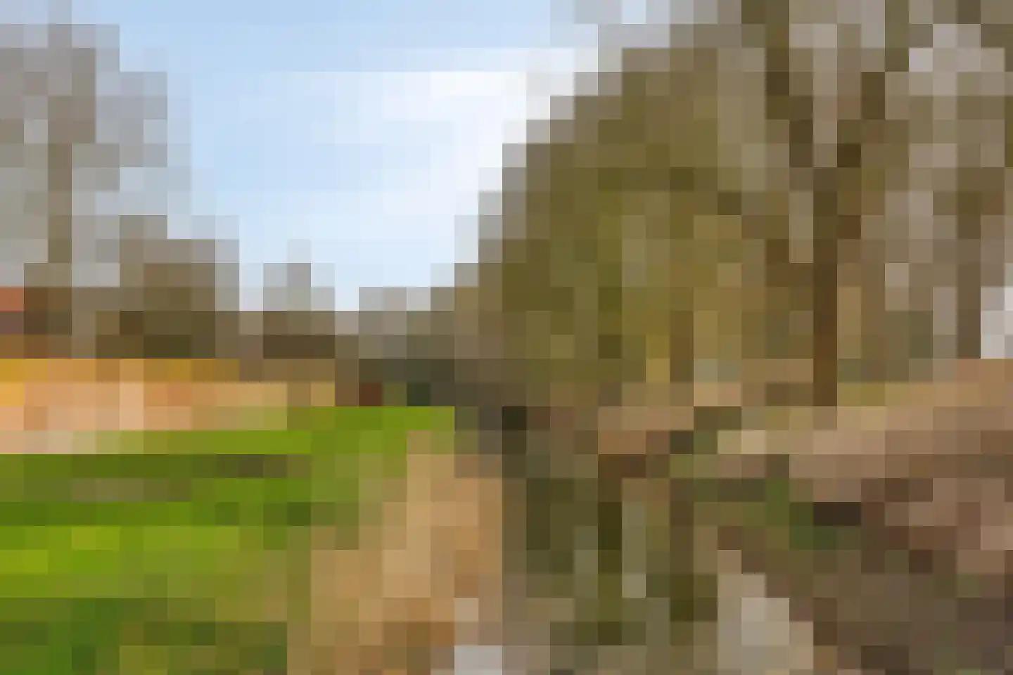 Boschstraat 87 Zaltbommel thumbnail 37