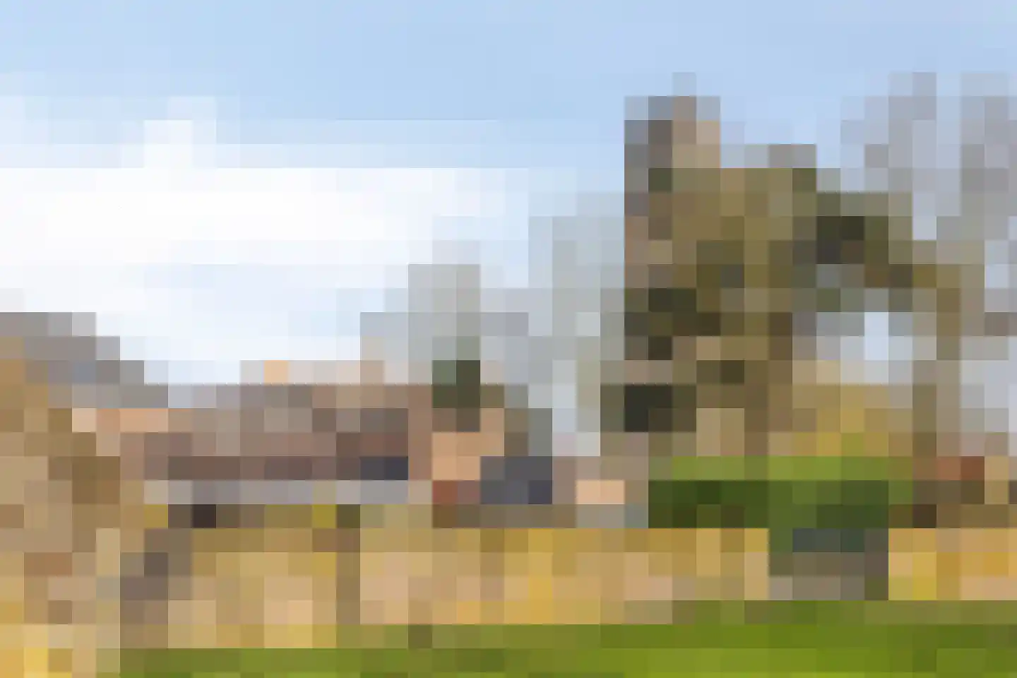 Boschstraat 87 Zaltbommel thumbnail 39