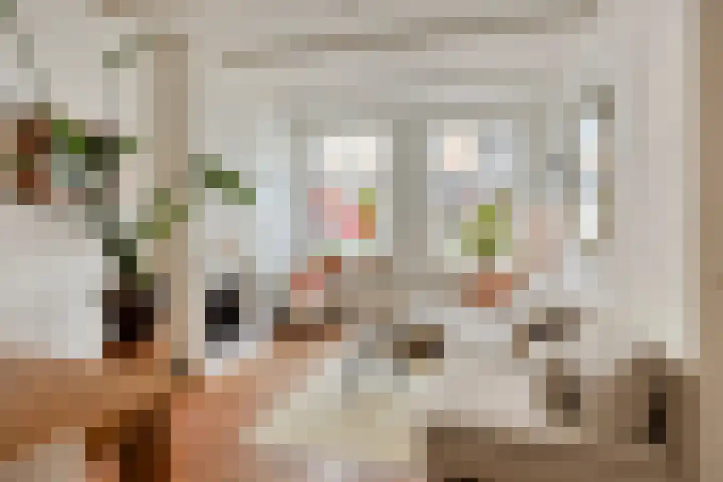 Boschstraat 87 Zaltbommel thumbnail 8