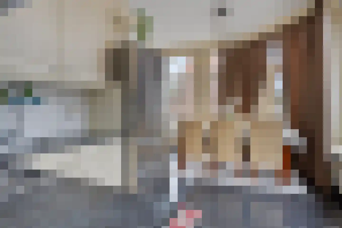 Boschstraat 89 Zaltbommel thumbnail 12