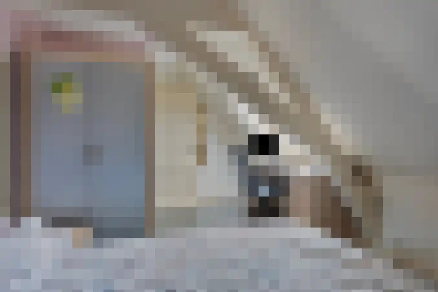 Boschstraat 89 Zaltbommel thumbnail 23