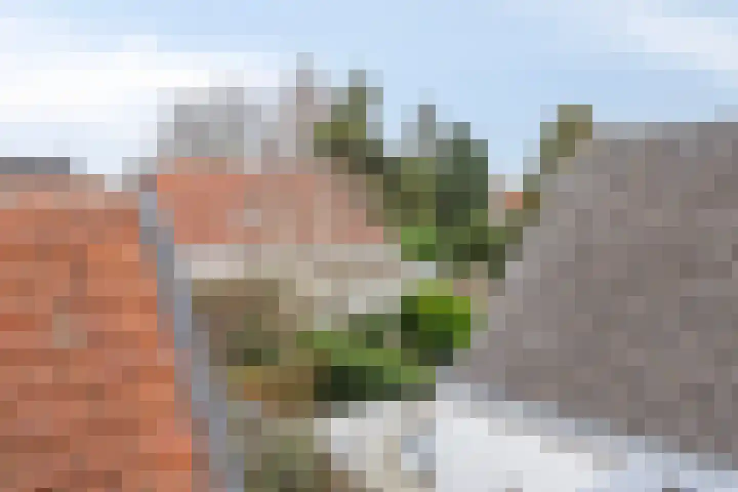 Boschstraat 89 Zaltbommel thumbnail 29