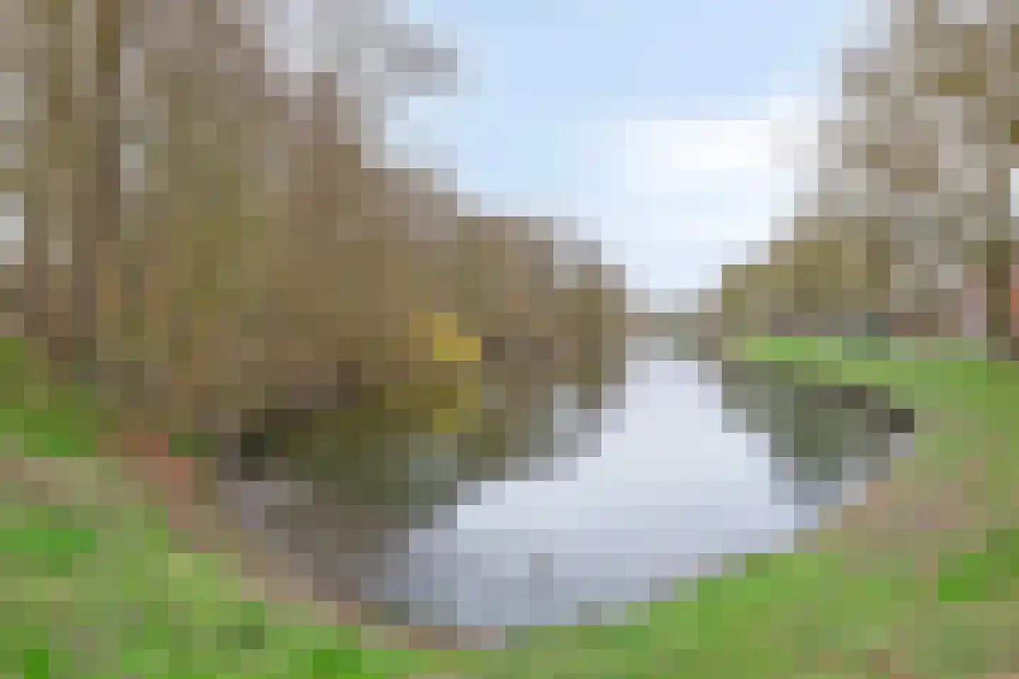 Boschstraat 89 Zaltbommel thumbnail 37