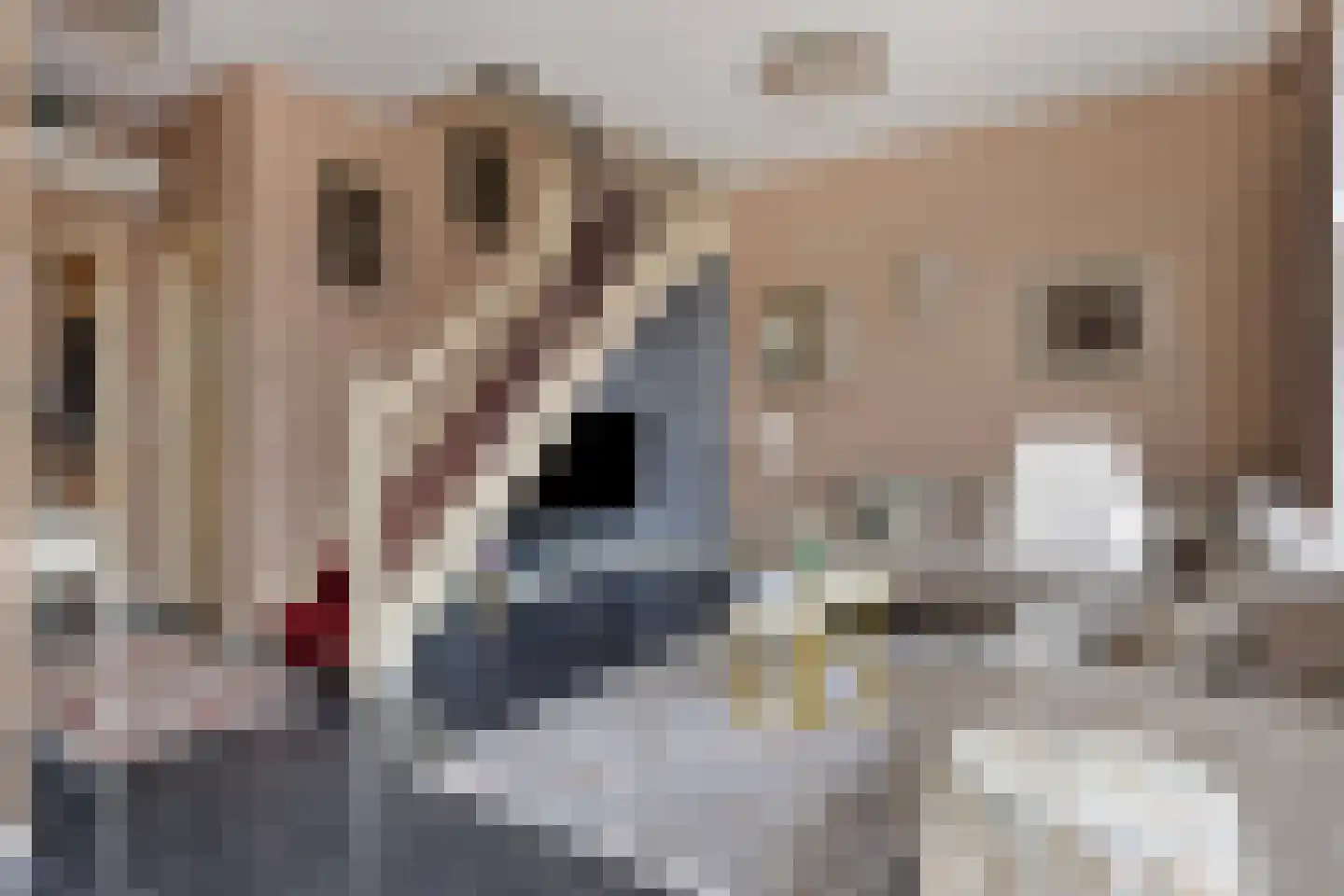Boschstraat 89 Zaltbommel thumbnail 9