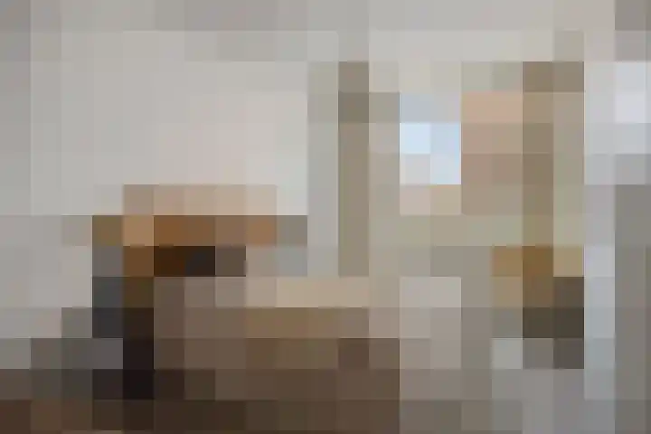 Boschveldweg 14 's-Hertogenbosch thumbnail 24