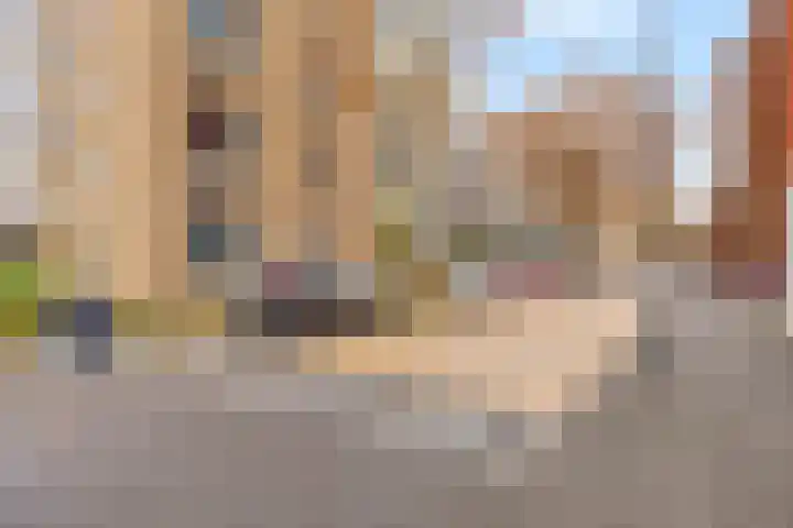 Boschveldweg 14 's-Hertogenbosch thumbnail 40