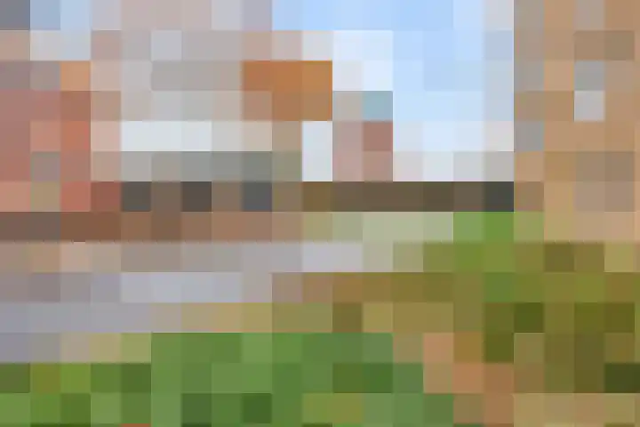 Boschveldweg 14 's-Hertogenbosch thumbnail 41