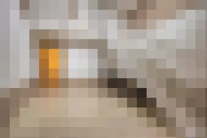 Boschveldweg 14 's-Hertogenbosch thumbnail 9