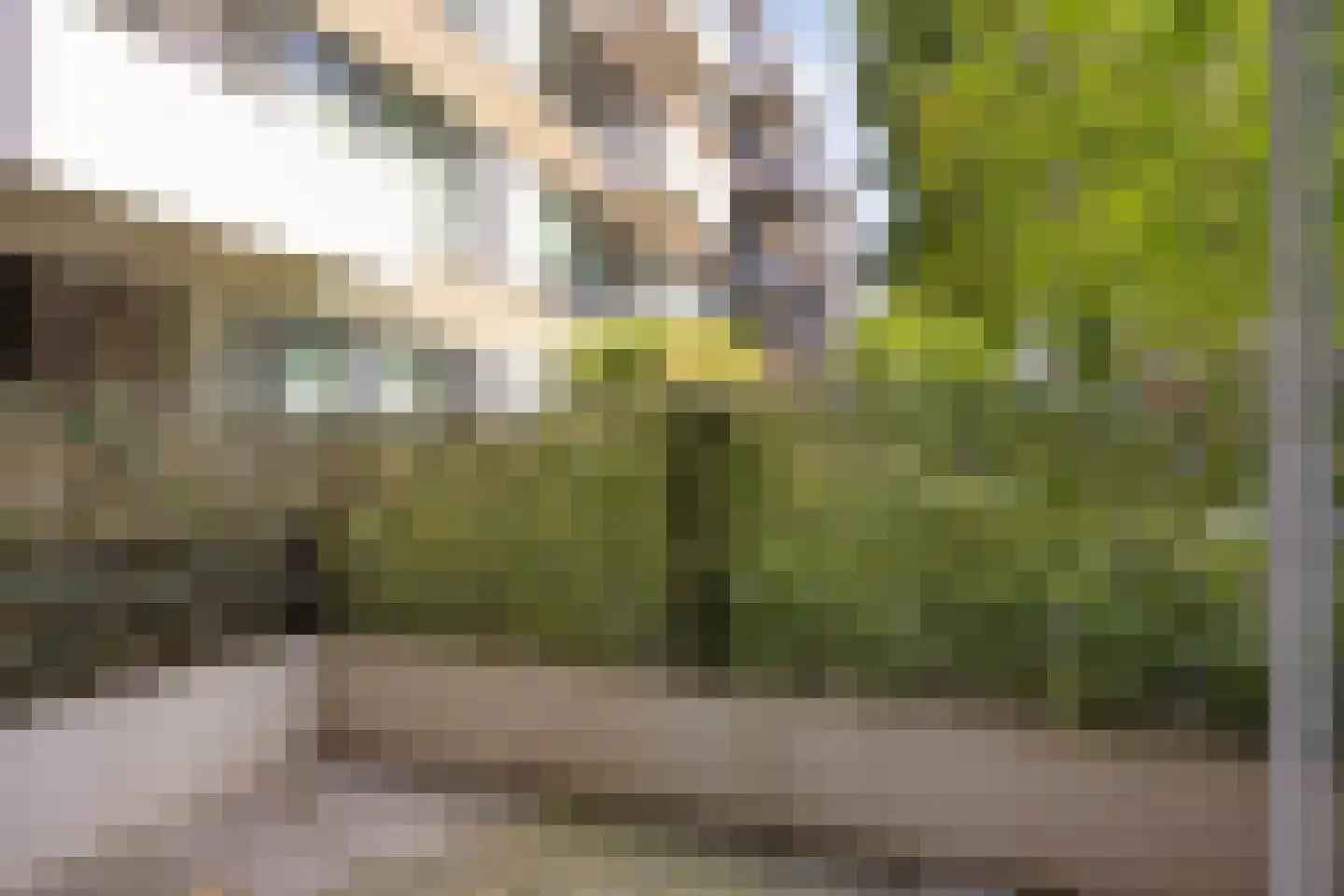 Boschveldweg 20 's-Hertogenbosch thumbnail 27