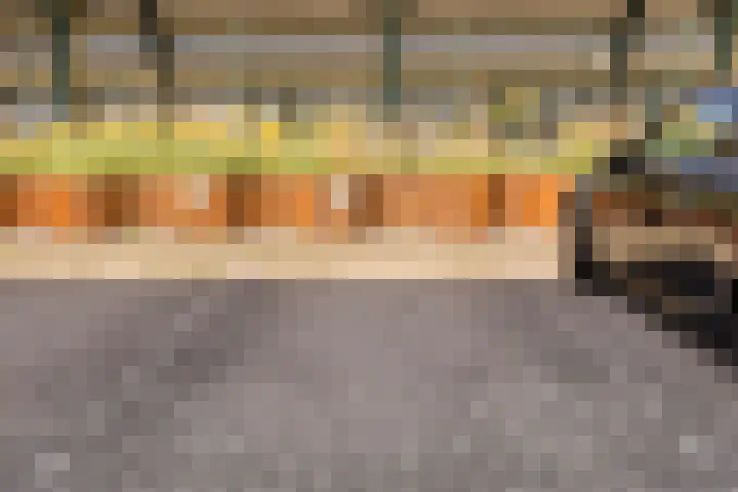 Boschveldweg 20 's-Hertogenbosch thumbnail 45