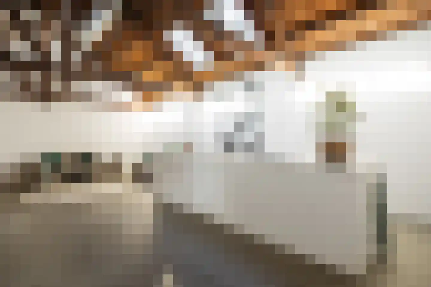 Boschveldweg 203 's-Hertogenbosch thumbnail 11
