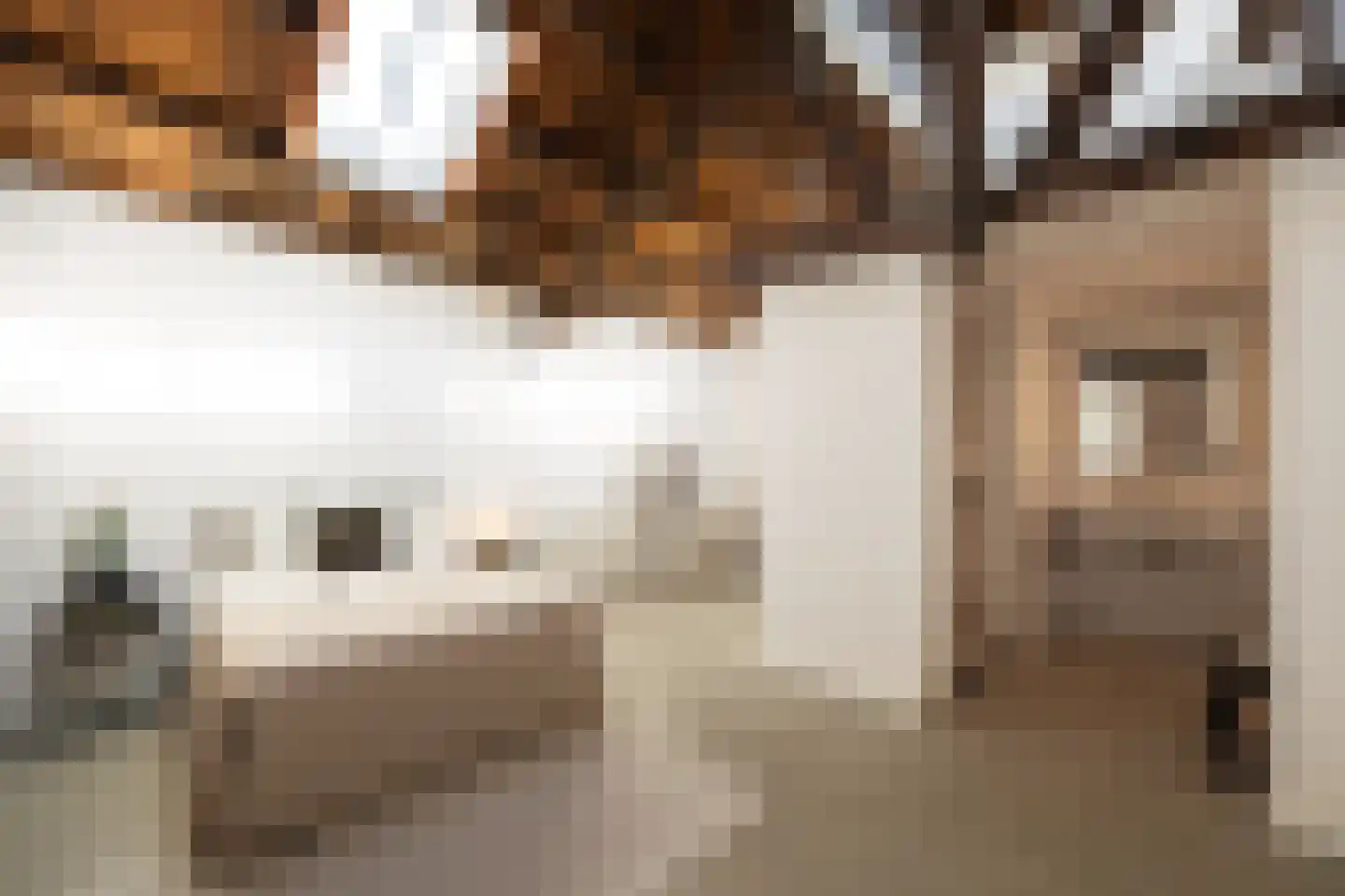 Boschveldweg 203 's-Hertogenbosch thumbnail 22