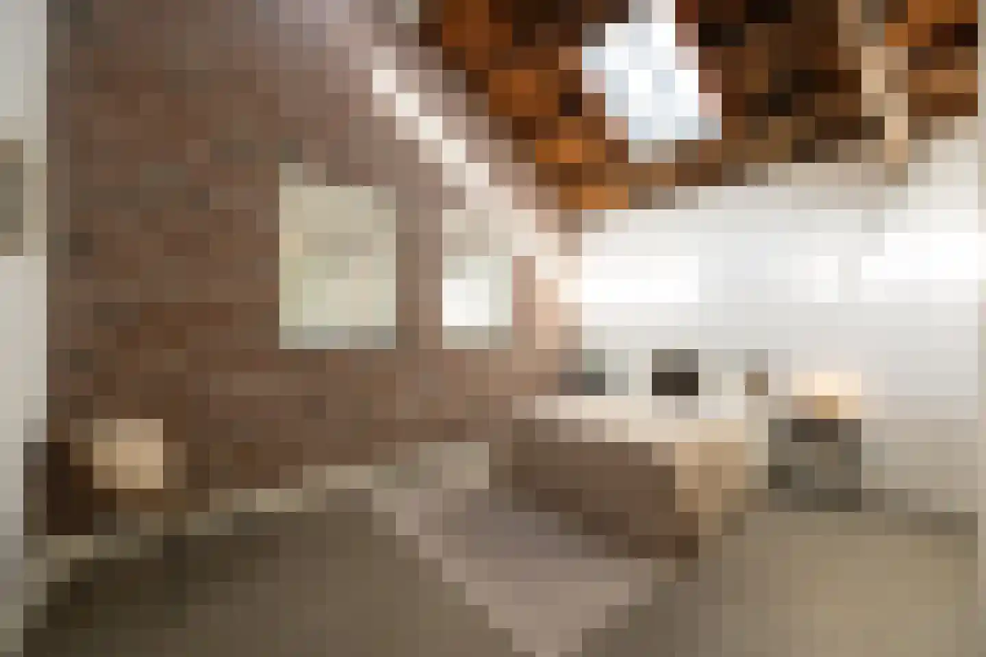 Boschveldweg 203 's-Hertogenbosch thumbnail 23