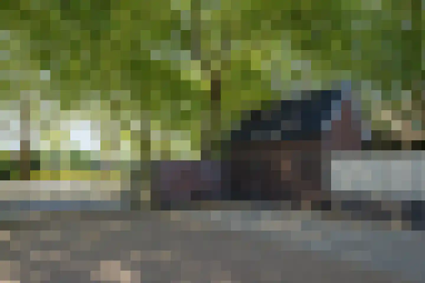 Boschveldweg 203 's-Hertogenbosch thumbnail 33