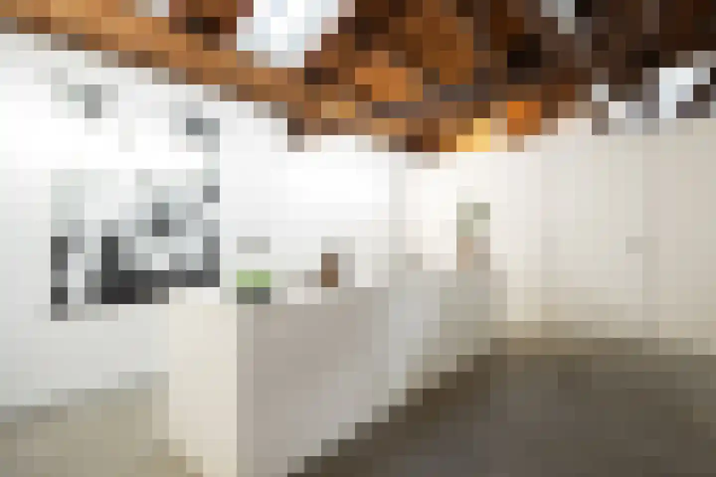 Boschveldweg 203 's-Hertogenbosch thumbnail 9
