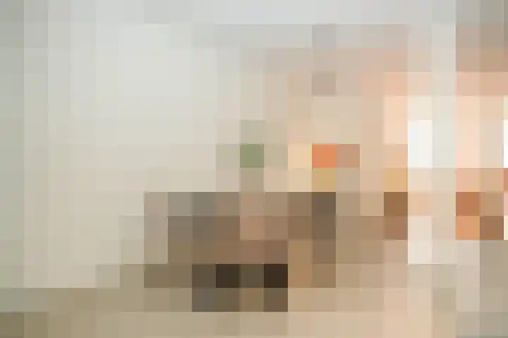 Boschveldweg 207 's-Hertogenbosch thumbnail 12