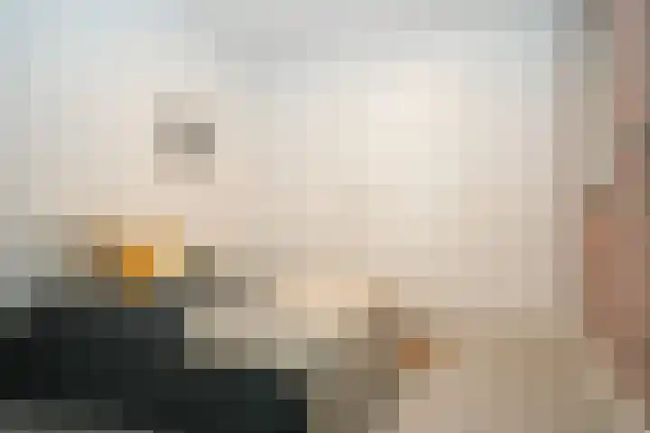 Boschveldweg 207 's-Hertogenbosch thumbnail 15