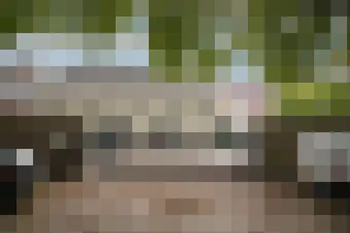 Boschveldweg 207 's-Hertogenbosch thumbnail 28
