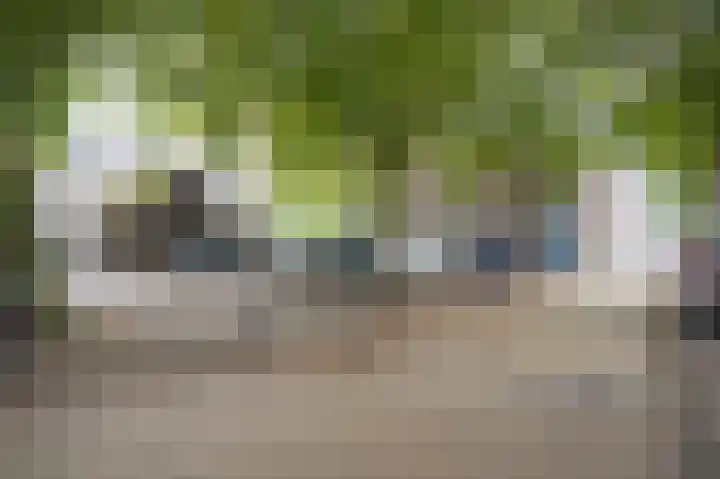 Boschveldweg 207 's-Hertogenbosch thumbnail 30