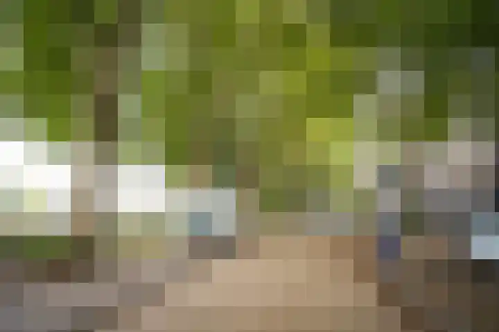Boschveldweg 207 's-Hertogenbosch thumbnail 31