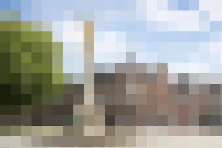 Boschveldweg 207 's-Hertogenbosch thumbnail 32
