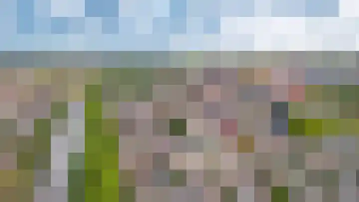 Boschveldweg 207 's-Hertogenbosch thumbnail 34