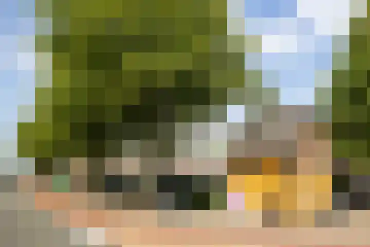 Boschveldweg 207 's-Hertogenbosch thumbnail 35