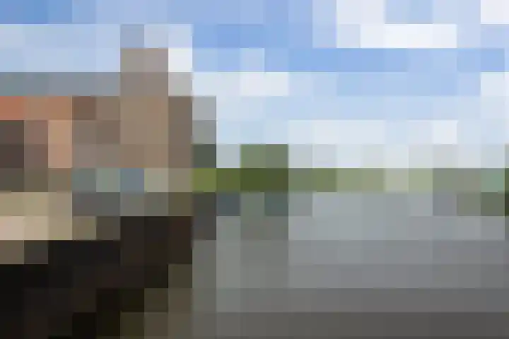 Boschveldweg 207 's-Hertogenbosch thumbnail 36