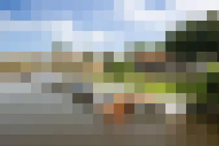 Boschveldweg 207 's-Hertogenbosch thumbnail 37
