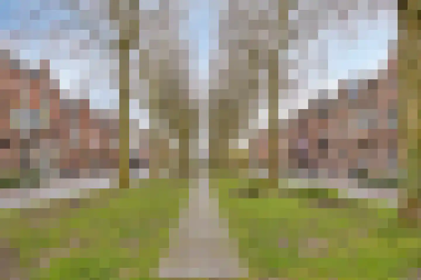 Boschveldweg 30 's-Hertogenbosch thumbnail 32
