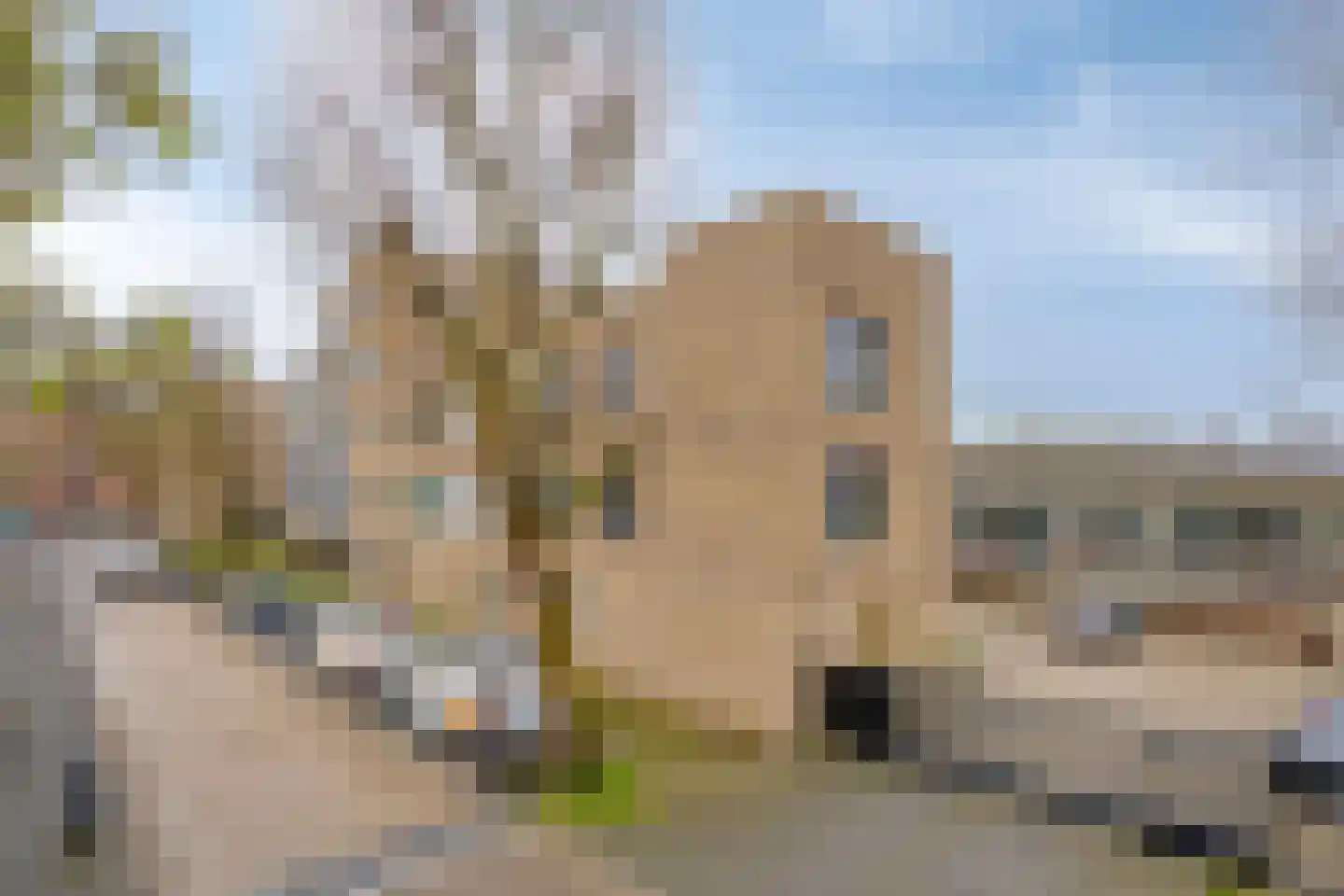 Boschveldweg 30 's-Hertogenbosch thumbnail 35
