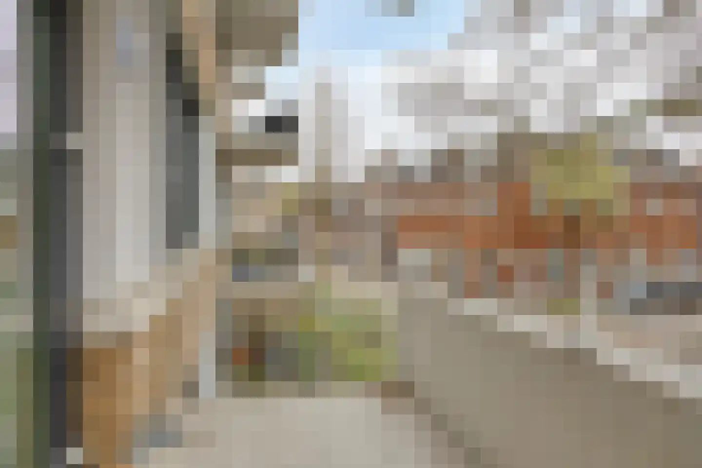 Boschveldweg 30 's-Hertogenbosch thumbnail 7