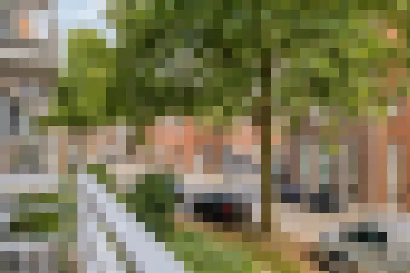 Boschveldweg 32 's-Hertogenbosch thumbnail 23