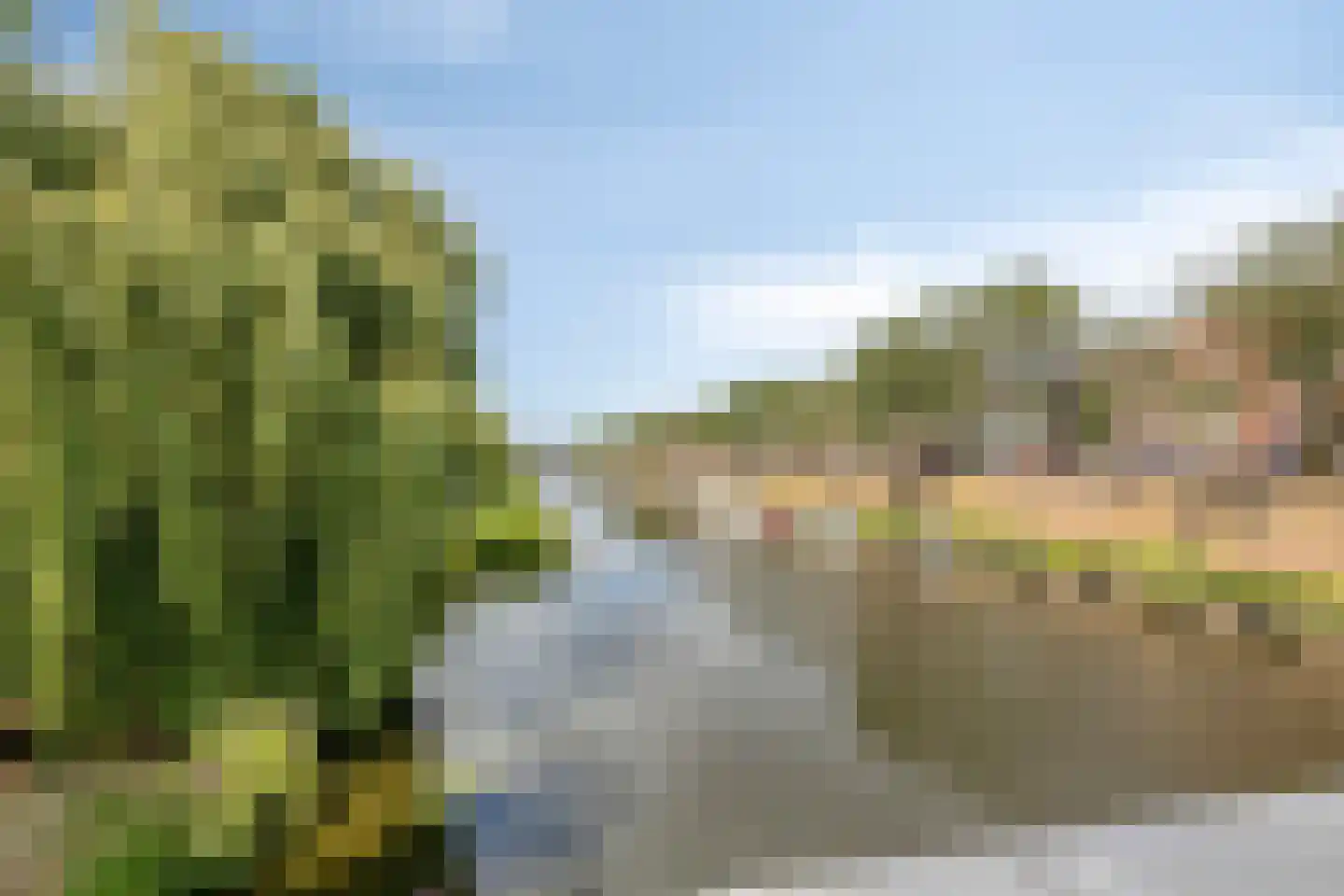 Boschveldweg 32 's-Hertogenbosch thumbnail 30