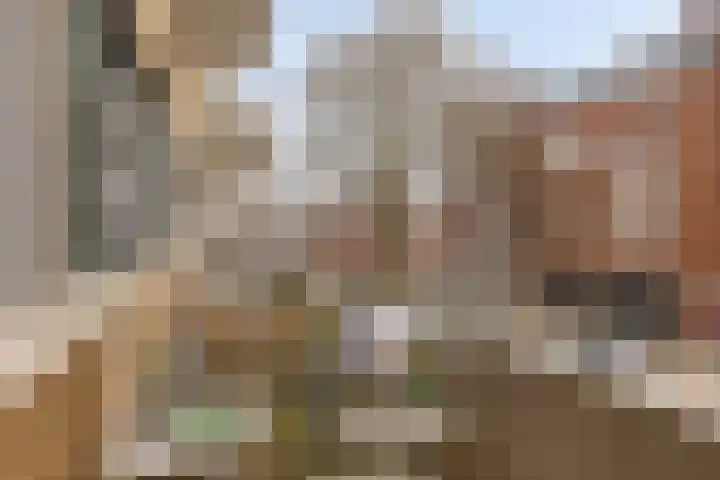 Boschveldweg 34 's-Hertogenbosch thumbnail 17