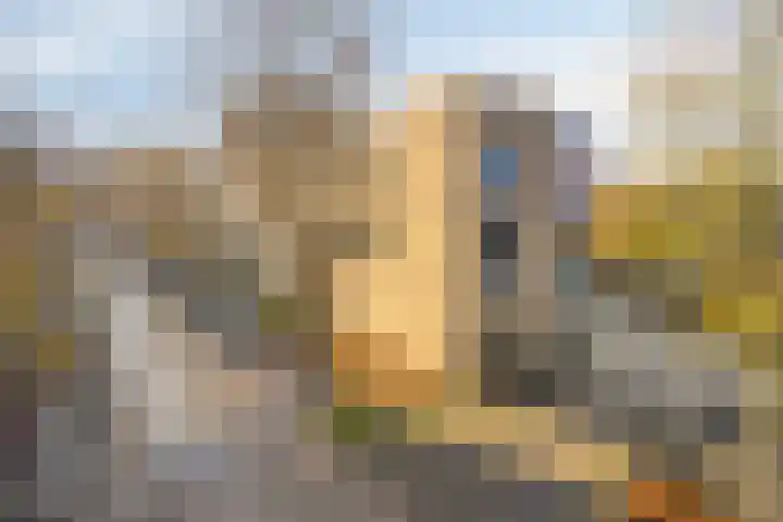 Boschveldweg 34 's-Hertogenbosch thumbnail 5