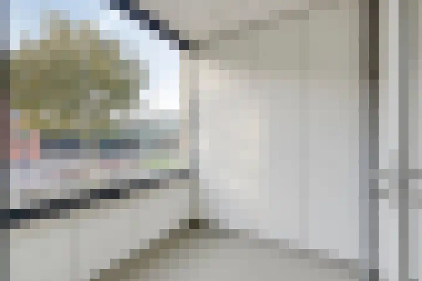 Boschveldweg 38 's-Hertogenbosch thumbnail 25