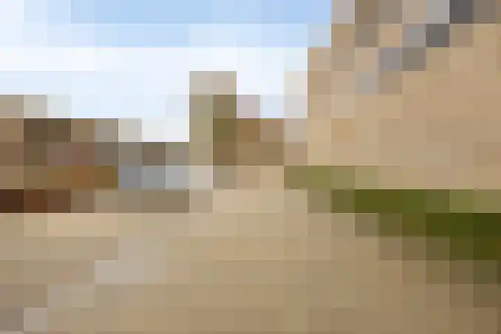 Boschveldweg 44 's-Hertogenbosch thumbnail 25