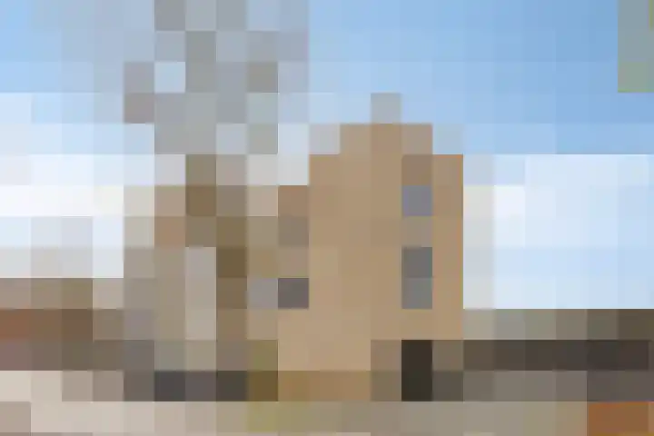 Boschveldweg 44 's-Hertogenbosch thumbnail 5
