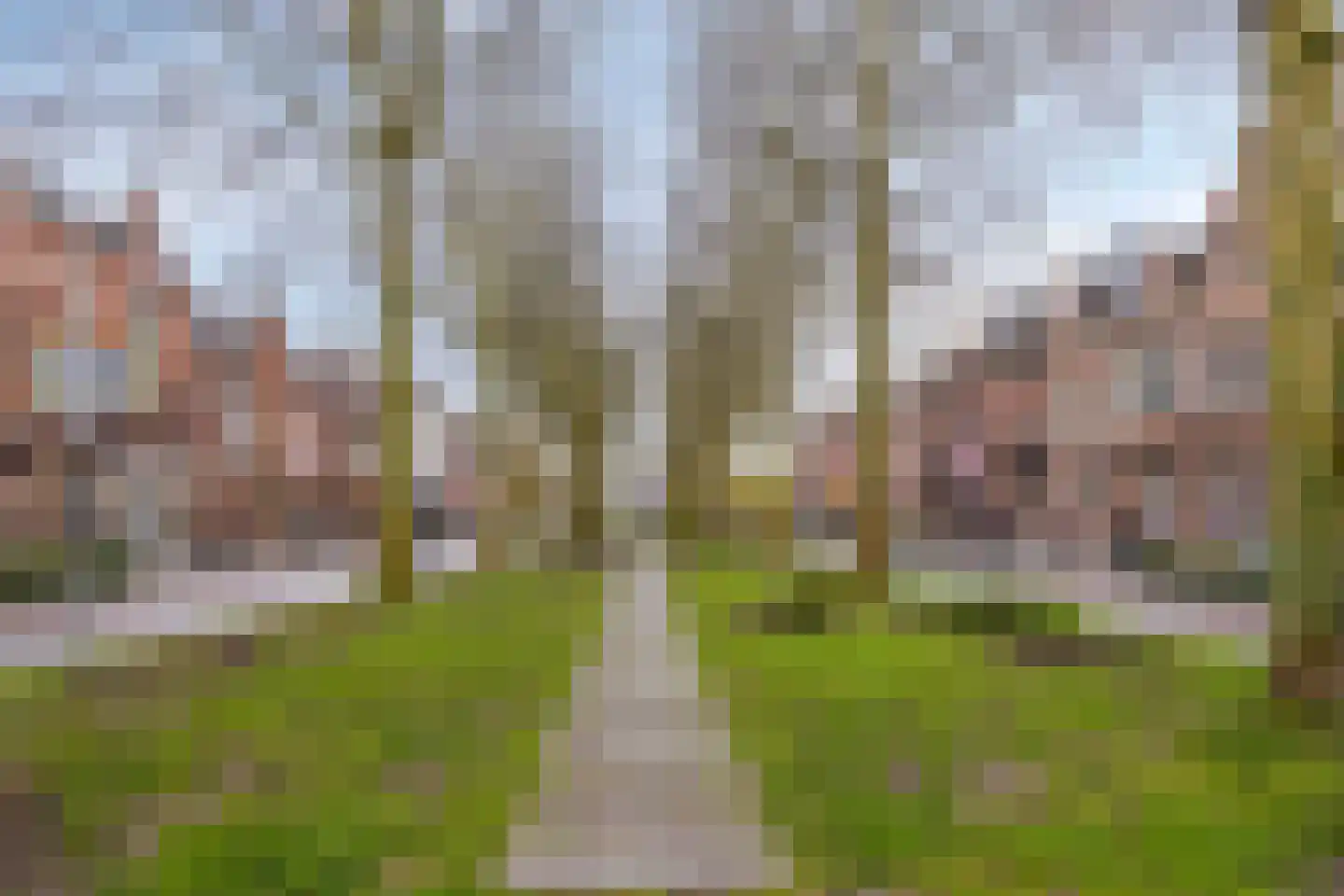 Boschveldweg 56 's-Hertogenbosch thumbnail 24