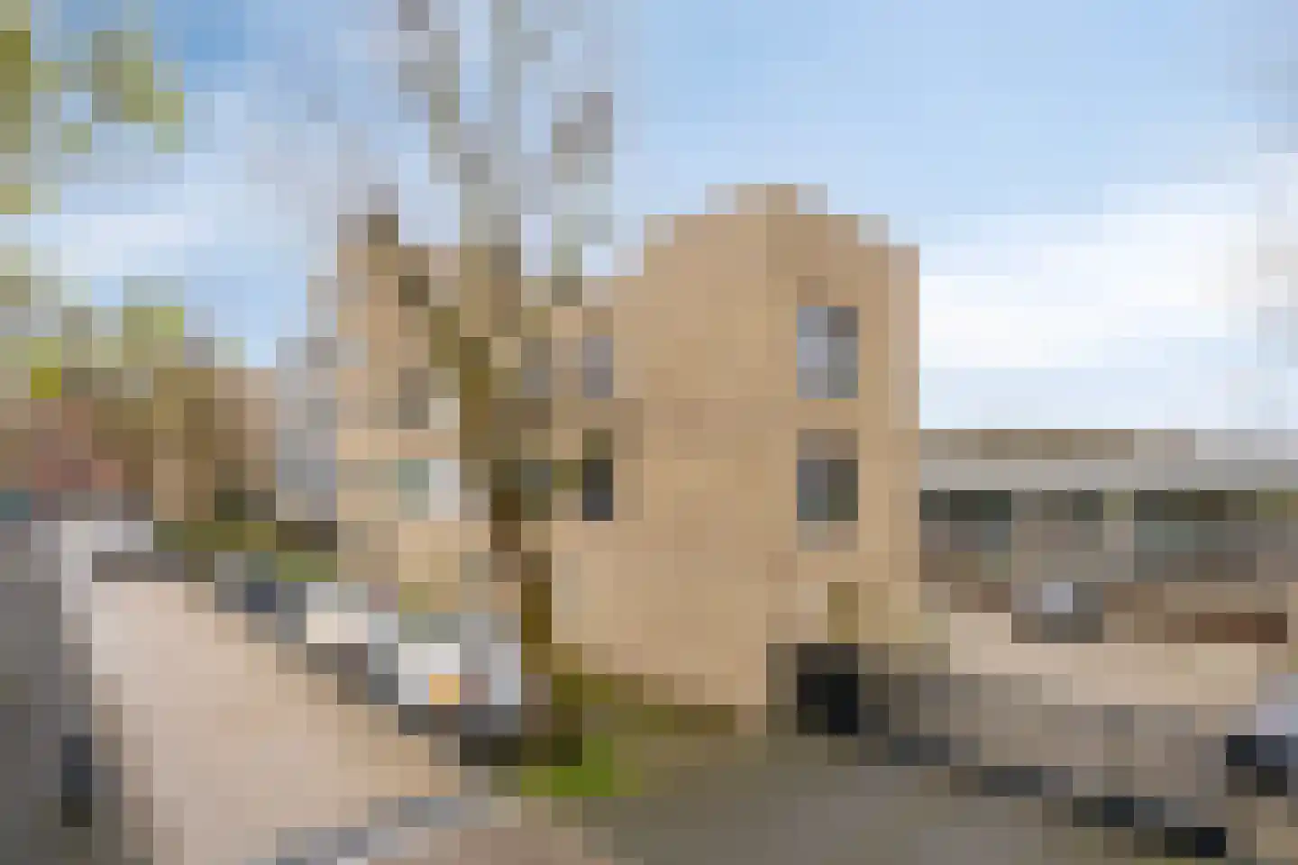 Boschveldweg 56 's-Hertogenbosch thumbnail 25