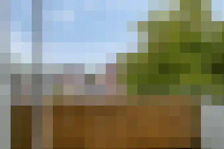 Boschveldweg 60 's-Hertogenbosch thumbnail 15