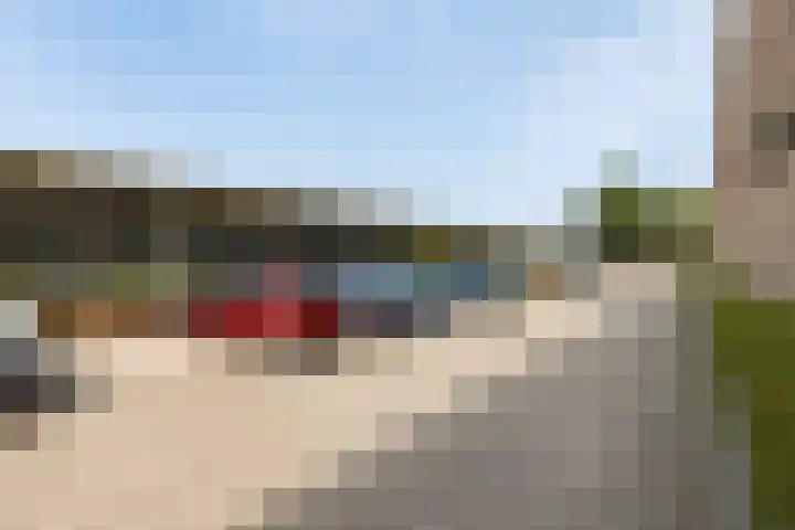 Boschveldweg 60 's-Hertogenbosch thumbnail 23