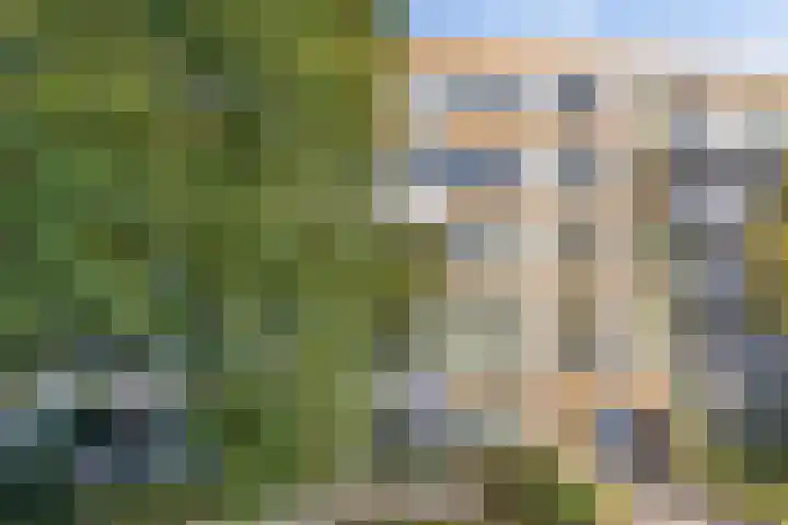 Boschveldweg 60 's-Hertogenbosch thumbnail 5