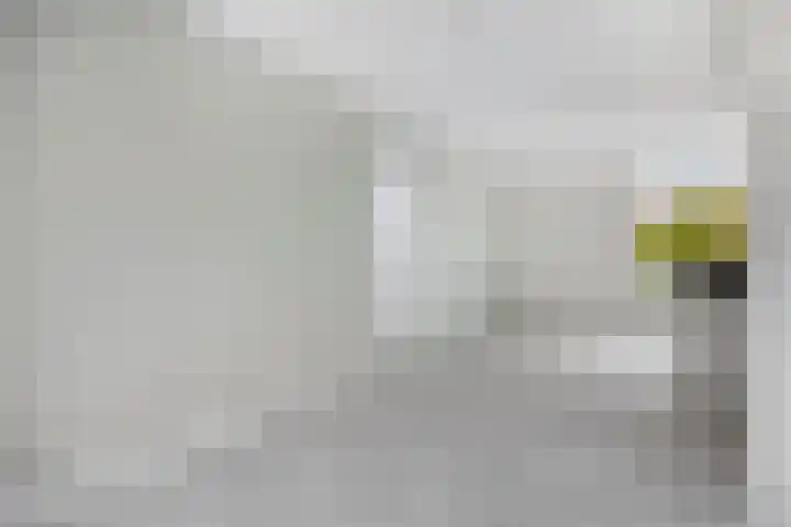 Boschveldweg 70 's-Hertogenbosch thumbnail 9