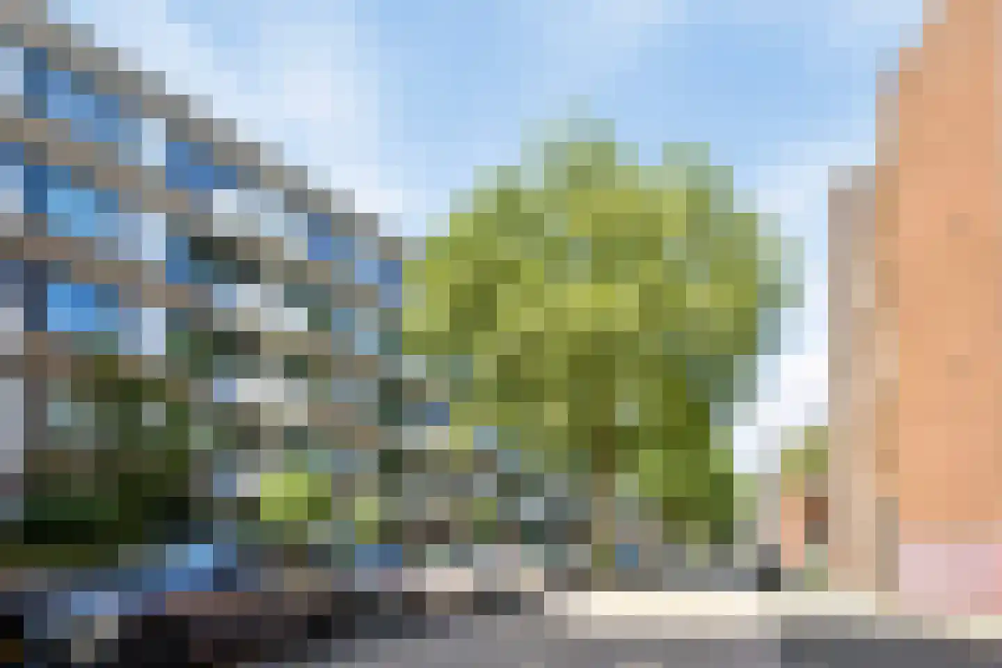 Boschveldweg 78 's-Hertogenbosch thumbnail 32