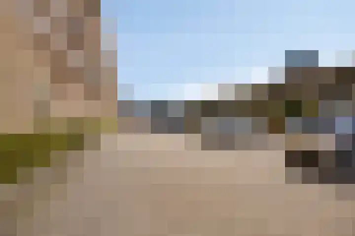 Boschveldweg 82 's-Hertogenbosch thumbnail 26