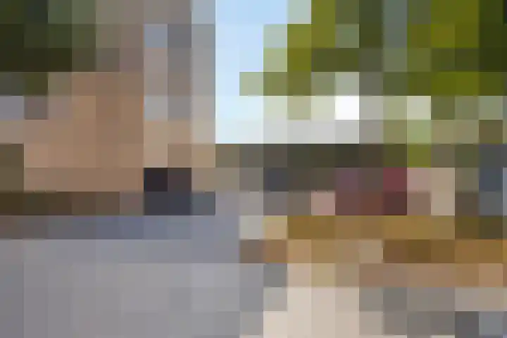 Boschveldweg 82 's-Hertogenbosch thumbnail 31